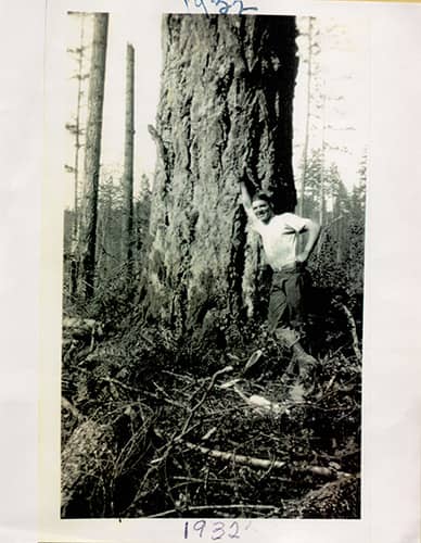 bill and tree