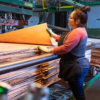 plywood employee